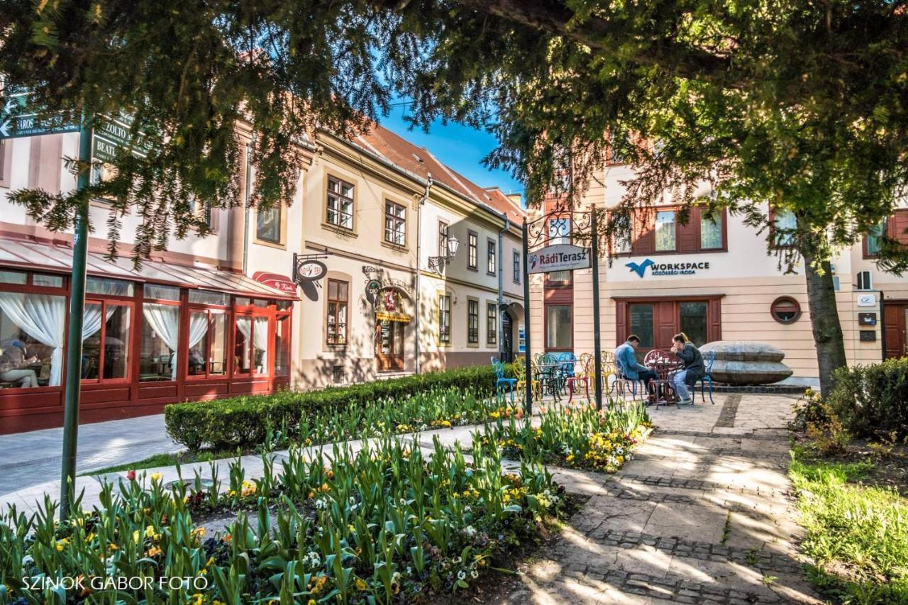 Albina Apartman Еґер Екстер'єр фото